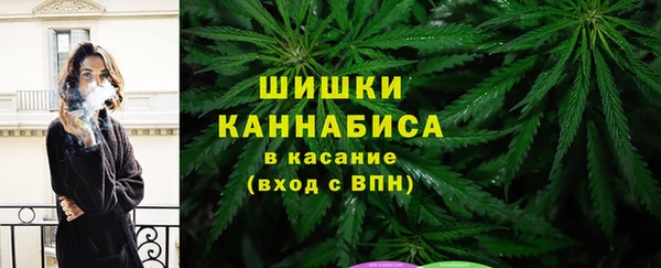 apvp Арсеньев